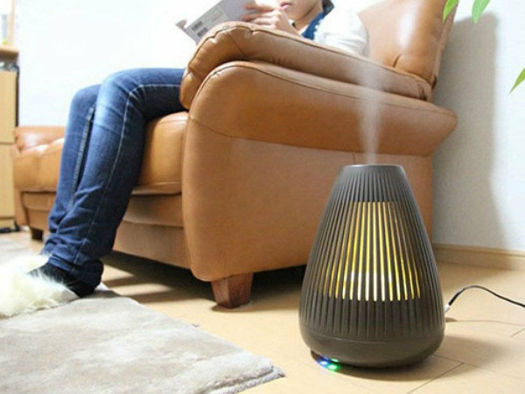 Для чего нужен увлажнитель воздуха в доме — домашние советы