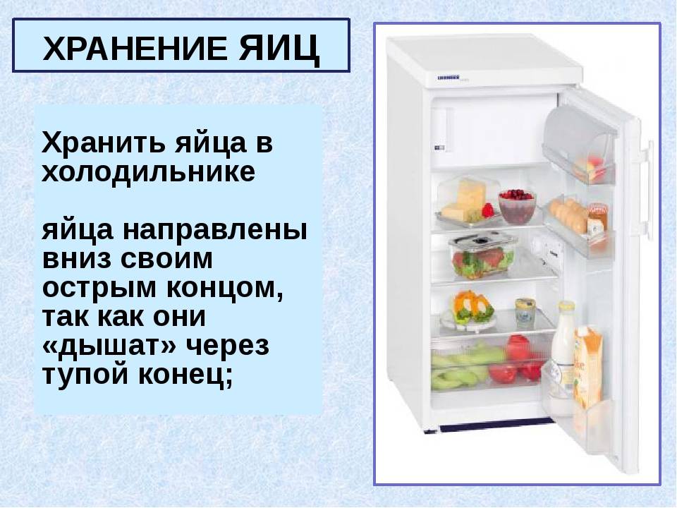 Можно ли мыть яйца перед хранением в холодильнике: почему нельзя и сколько хранятся мытые яйца