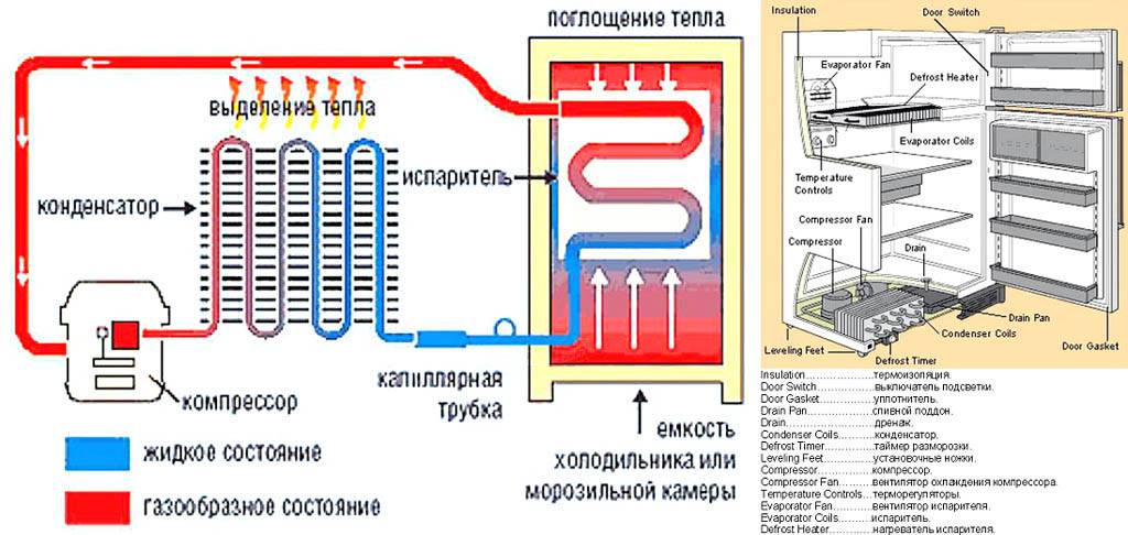 Устройство холодильника
