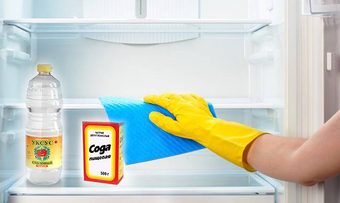 Как избавиться от плесени в холодильнике и убрать запах?