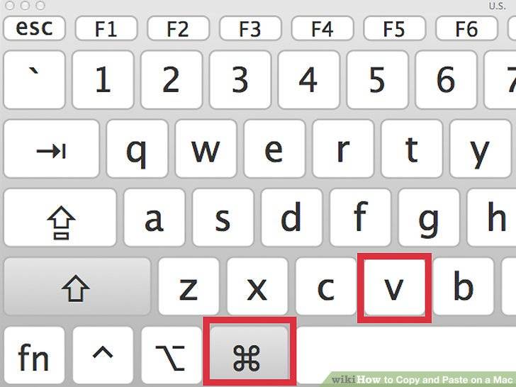 Как выделить, скопировать и вставить текст с помощью клавиатуры