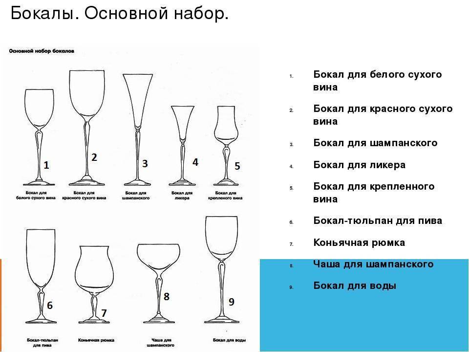 Виды бокалов и их назначение: каждому напитку свой бокал