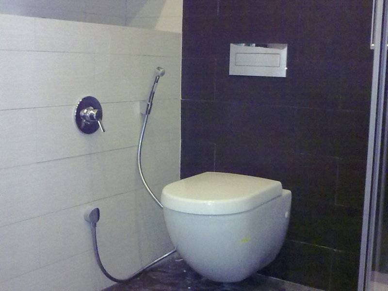 Что такое гигиенический душ - как выбрать смеситель для унитаза или биде, способы монтажа и цены