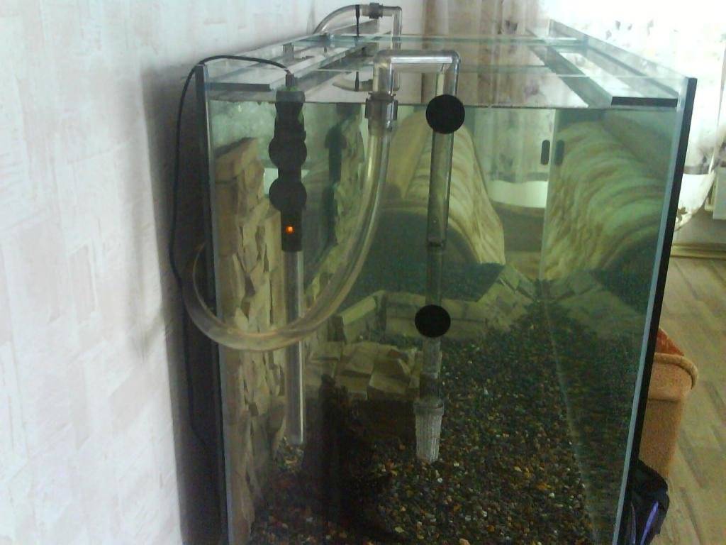 Обогреватели для аквариума: разновидности, выбор, установка и использование