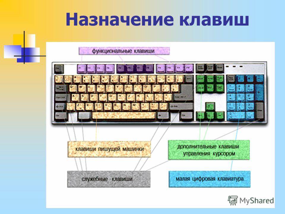 Какую клавиатуру выбрать для компьютера? типы и виды клавиатур