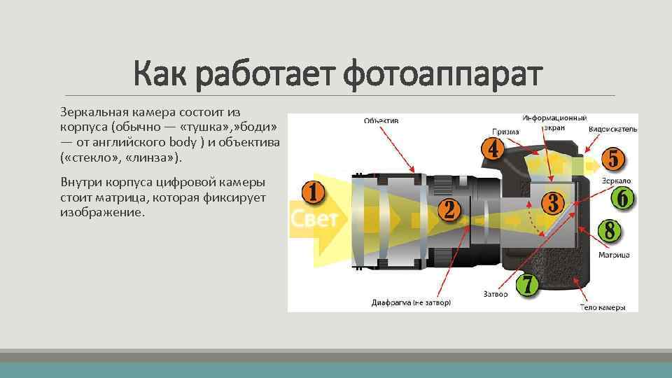 Как работает цифровой фотоаппарат