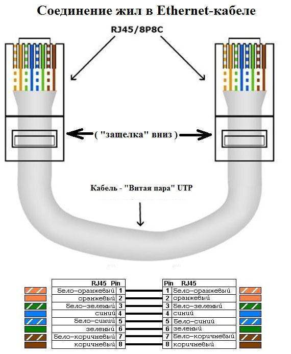 Схема подключения интернет кабеля к коннектору - 82 фото