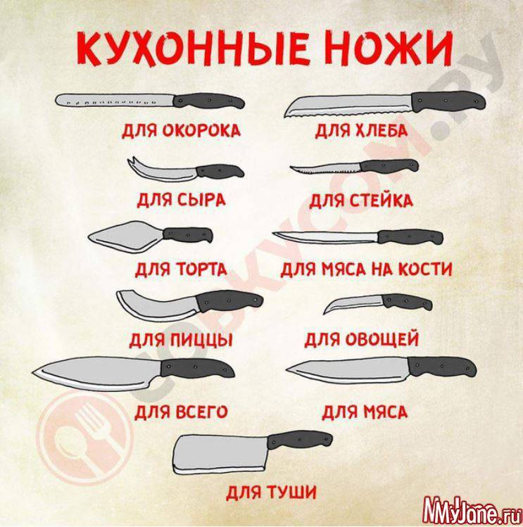 Виды кухонных ножей: какие бывают формы ножей и для чего они предназначены