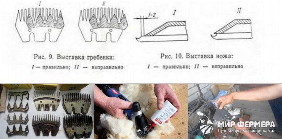 Как наточить ножи на машинке для стрижки людей, собак и овец с помощью различных приспособлений