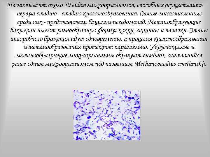 Бактерии для септика: обзор, как правильно выбрать, рейтинг, отзывы :: syl.ru
