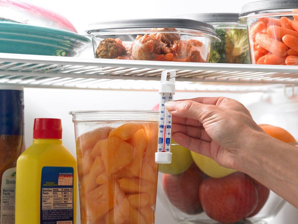 Почему нельзя ставить горячее в холодильник: можно ли еду, кастрюлю, что будет если класть продукты, воду, зачем убирать