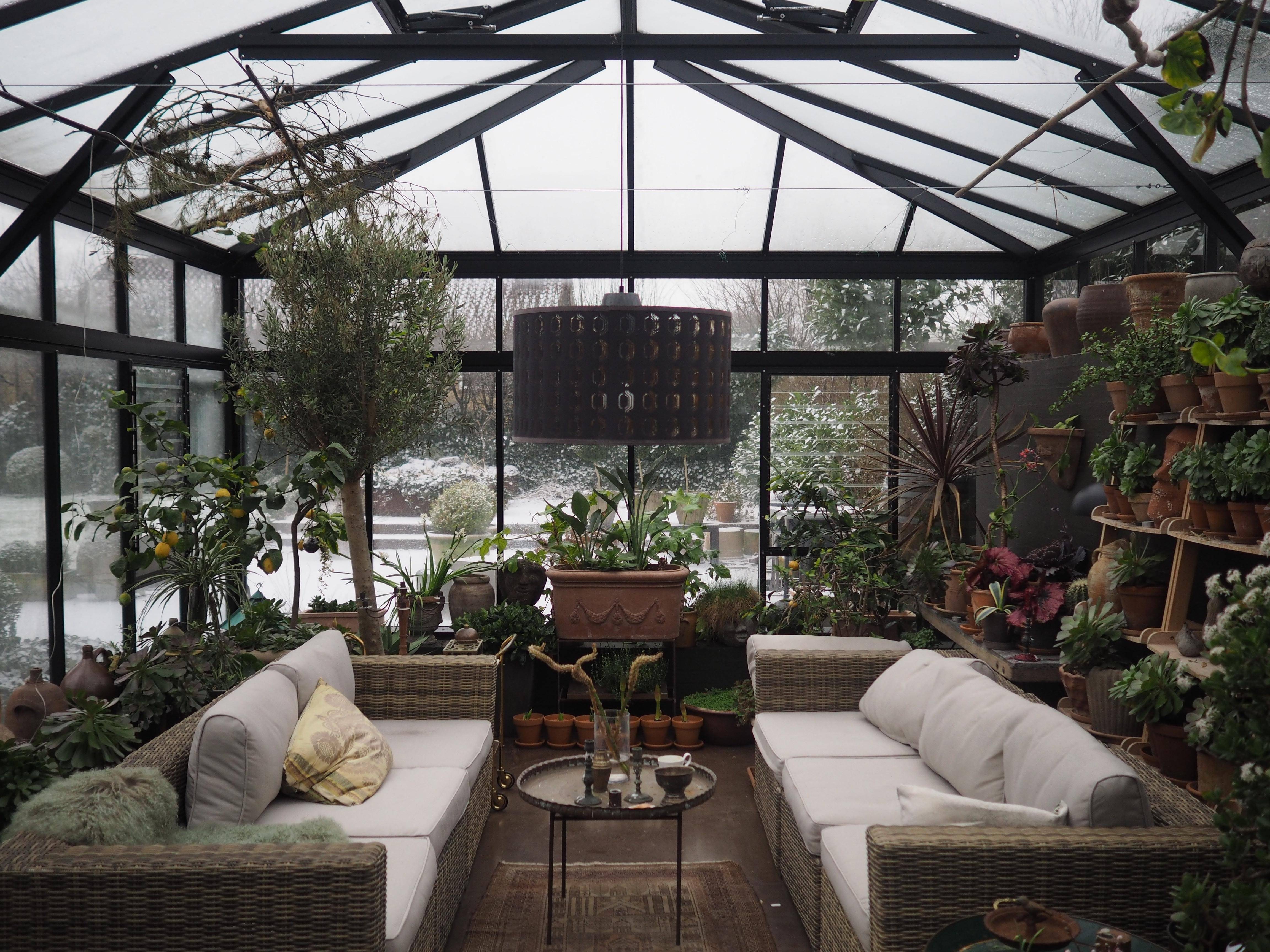 Зимний сад — обустройство в доме и в квартире