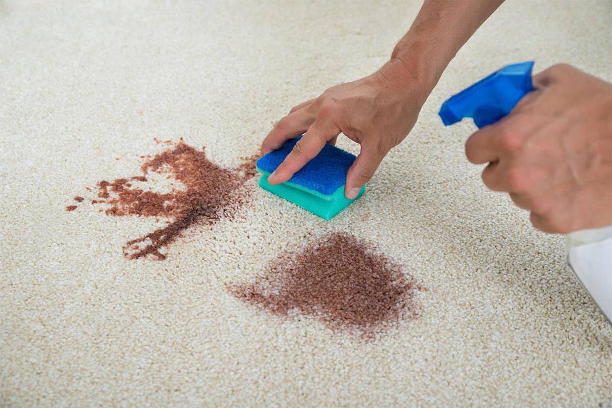 Как почистить ковер: народные средства и домашние способы удаления грязи и пятен с различных ковровых покрытий