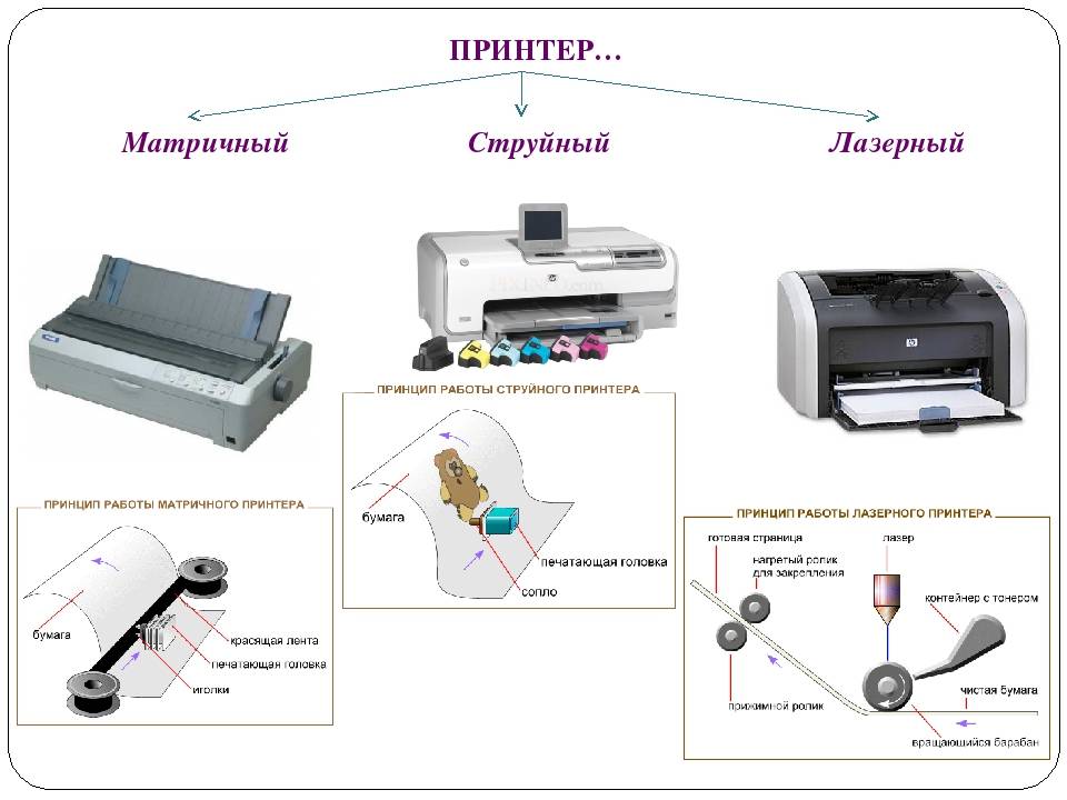 Определи способы получения графического цифрового изображения выбрав верные ответы ксерокс