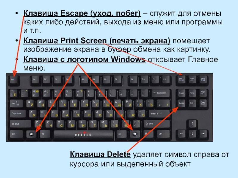 Проверка клавиатуры онлайн