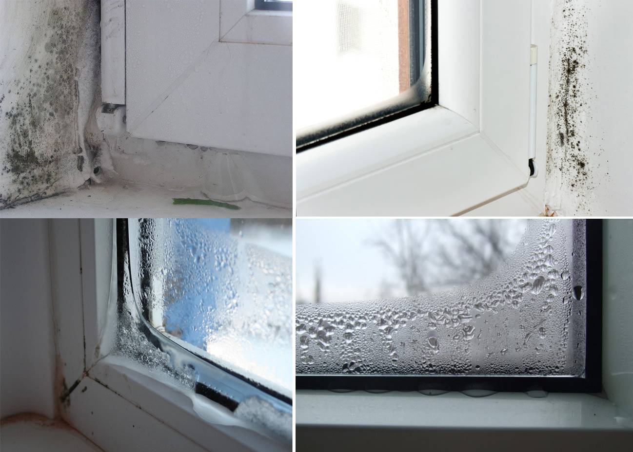 Почему потеют пластиковые окна в доме и как этого избежать? | онлайн-журнал о ремонте и дизайне