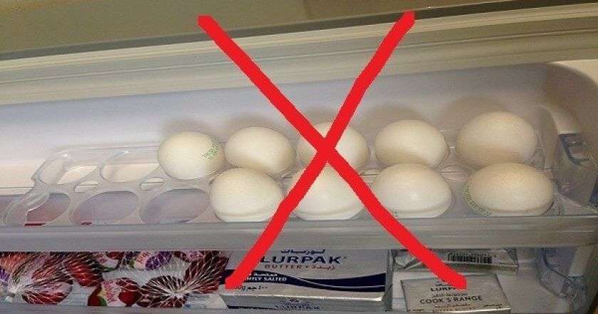 Как хранить яйца правильно и сколько можно хранить яйца в холодильнике ~ полезные советы