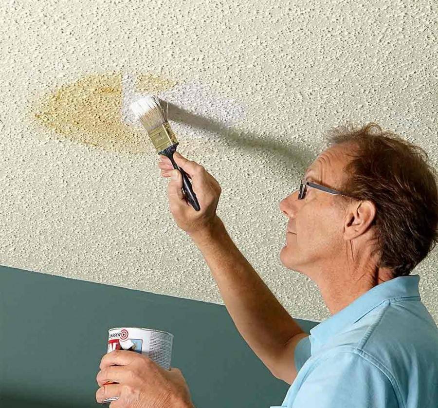 Какую лучше выбрать краску для потолка в квартире?