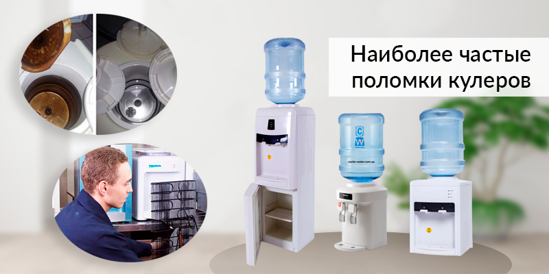 Как устроен и как пользоваться кулером для воды
