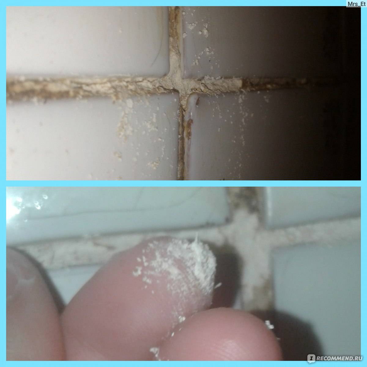 Плесень на герметике и силиконе в ванной - почему появляется и как от нее избавиться