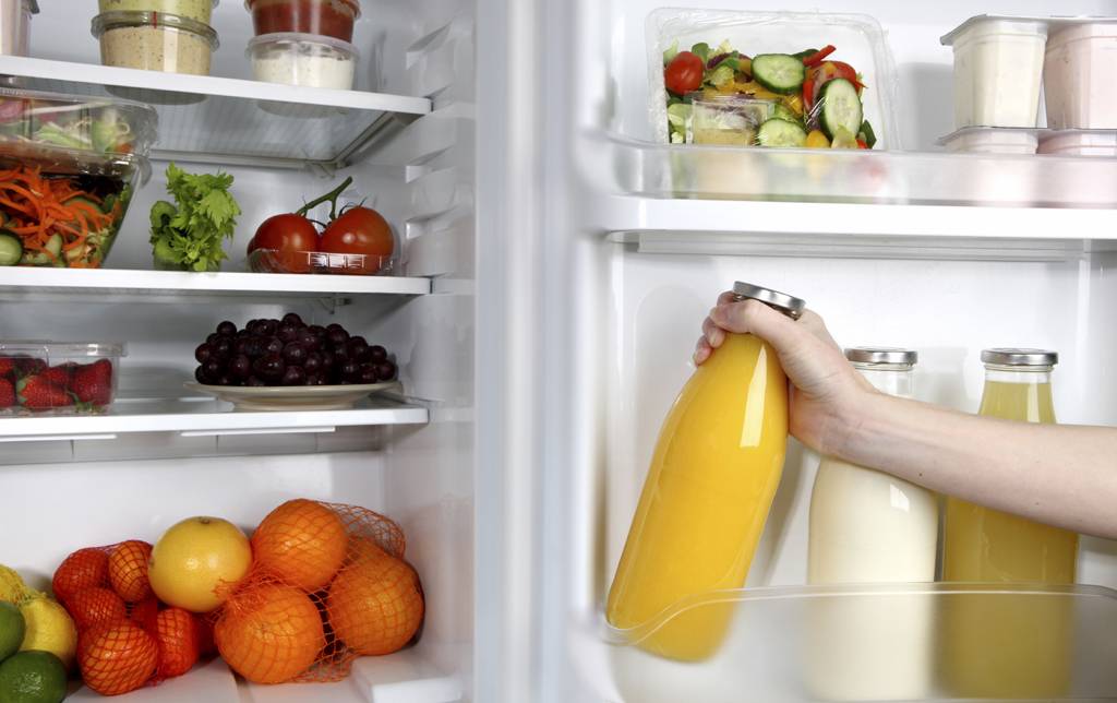 Почему продукты хранят в холодильнике - скоропортящиеся, мясные, рыбные