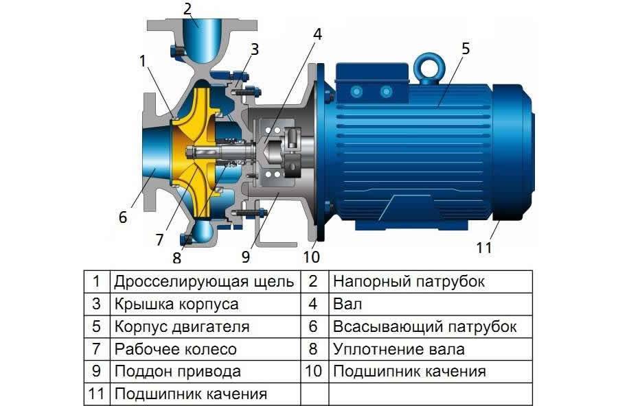 Насос самовсасывающий для воды: виды, характеристики | гидро гуру