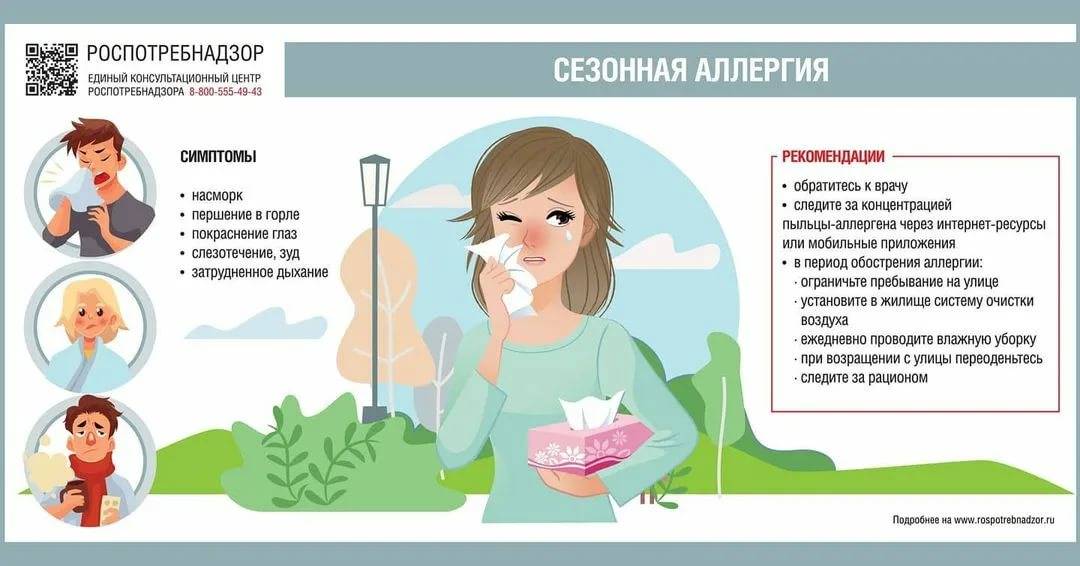 Боремся с аллергией: топ-10 очистителей воздуха. cтатьи, тесты, обзоры