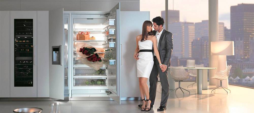 10 лучших холодильников electrolux