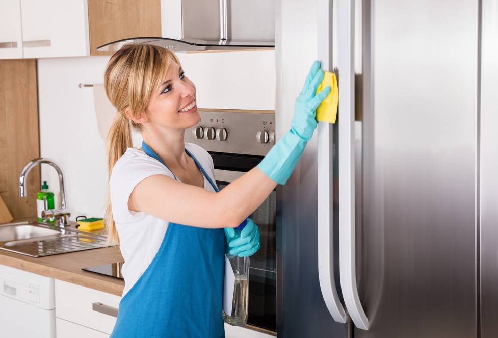 Какими средствами лучше помыть холодильник и как это сделать правильно?