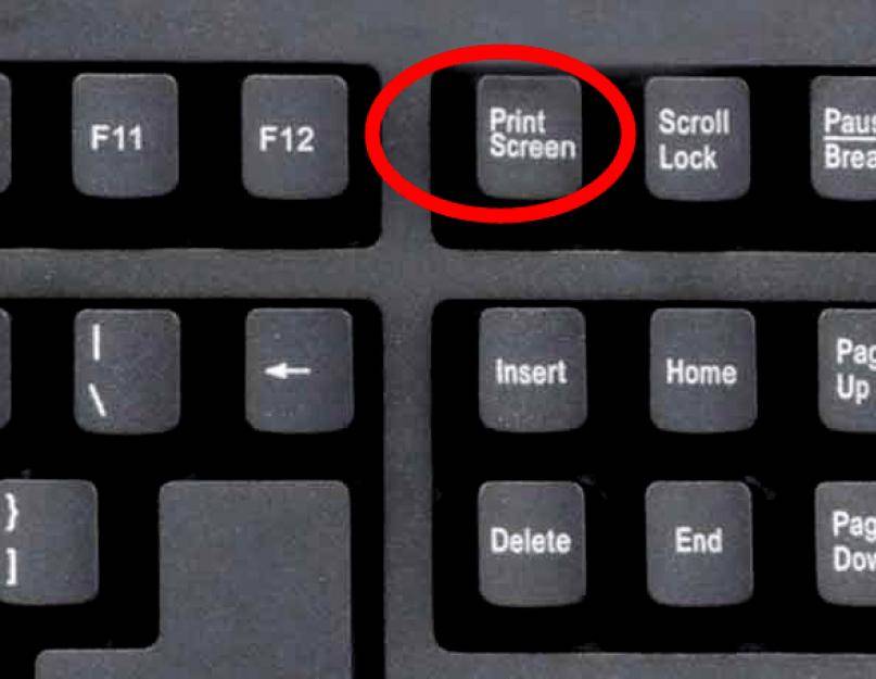 Как сделать скриншот на клавиатуре: одной кнопкой и комбинацией