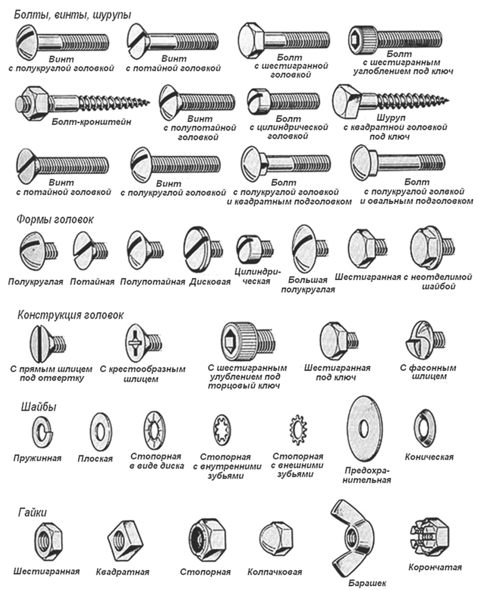 Какие виды болтов. Типы болтов и винтов. Винт болт шуруп саморез отличие. Классификация болтов по диаметру. Классификация шуруп винт болт.