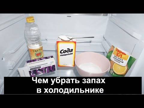 Как избавиться от неприятного запаха в холодильнике: лучшие народные средства
