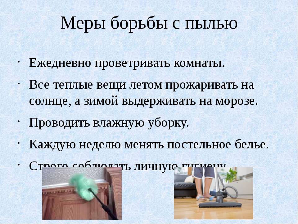 Лучшие очистители воздуха: выбор zoom. cтатьи, тесты, обзоры