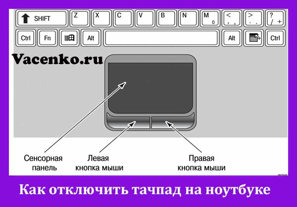Инструкция: что делать, если не работает тачпад (сенсорная панель) на ноутбуке