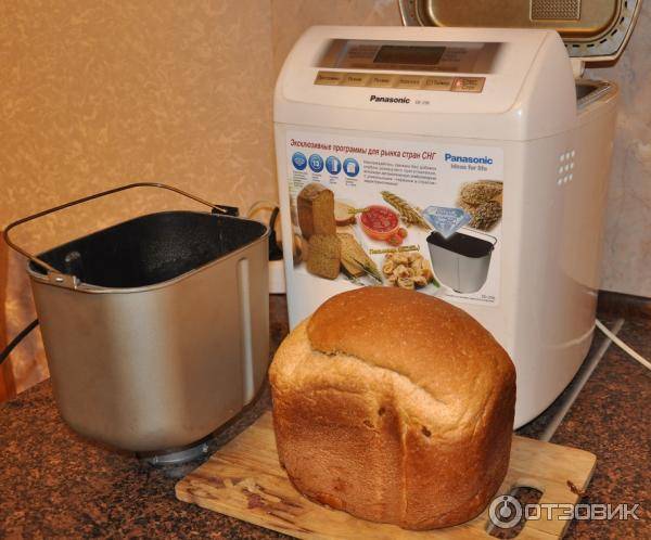 Как правильно выбрать хлебопечку для дома: советы эксперта, топ моделей