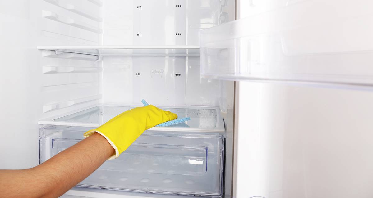 Чем мыть новый холодильник перед включением — priborka