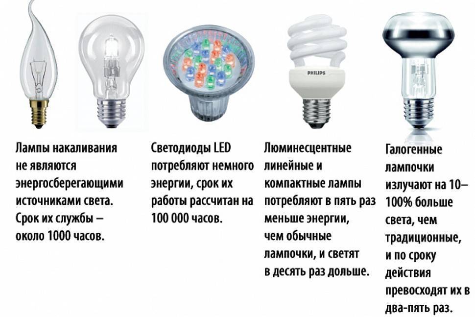 Какими бывают компактные люминесцентные лампы + лучшие производители