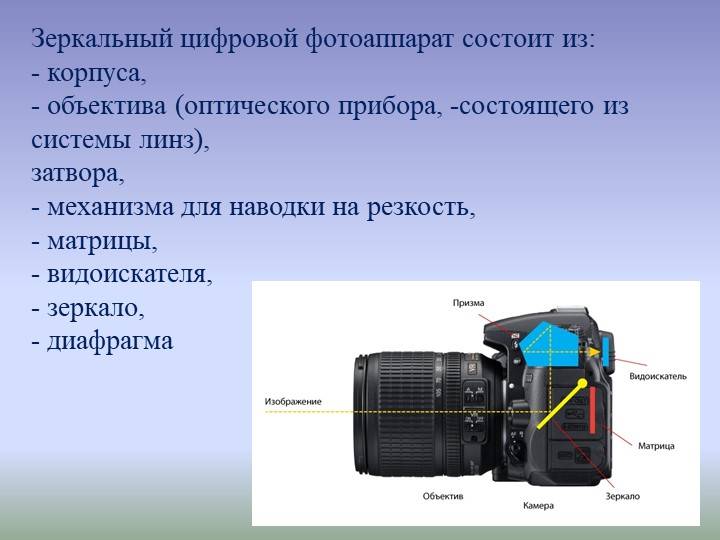Зачем зеркалка? отличие зеркального цифрового фотоаппарата от простого (обычного...