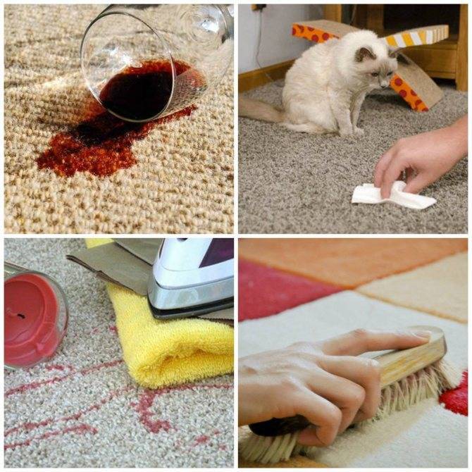 Как почистить ковер от шерсти животных: особенности и рекомендации — статья от avalon-carpet.ru
