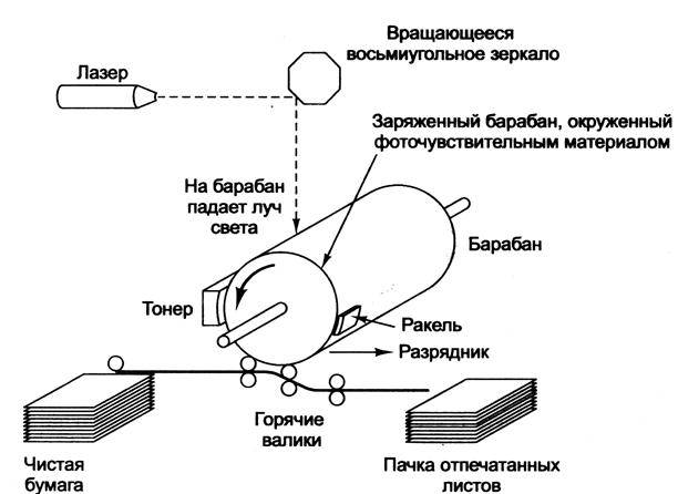 Устройство и принцип работы лазерного принтера