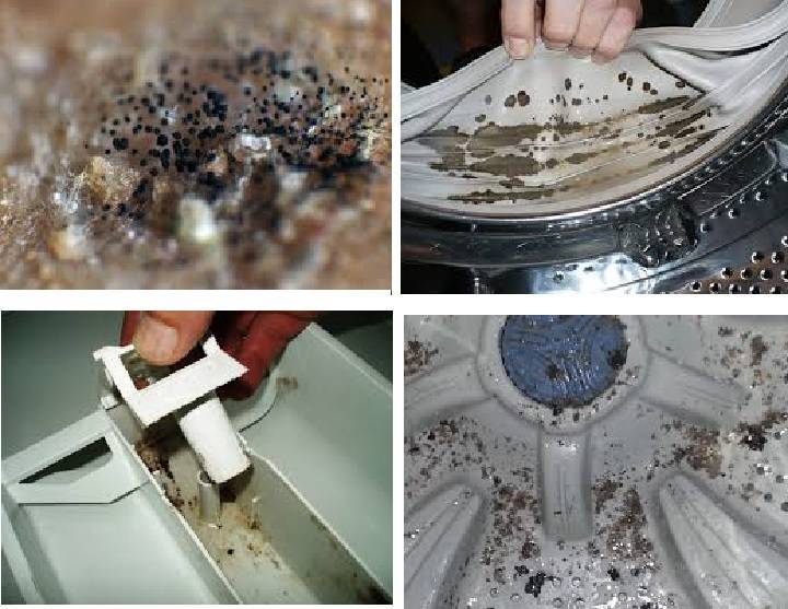 Чистка стиральной машины от плесени: химические средства и народные методы