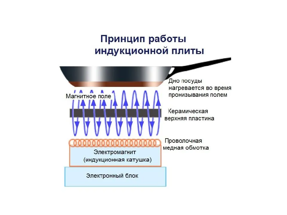 Разновидности электроплит для дома