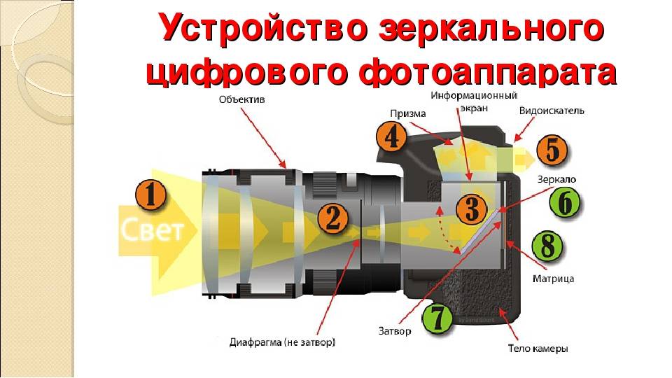 Тип видоискателя позволяющий видеть прямое изображение снимаемого объекта