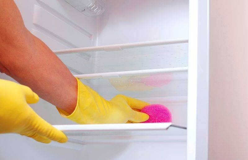 Как избавиться от плесени в холодильнике и убрать запах?