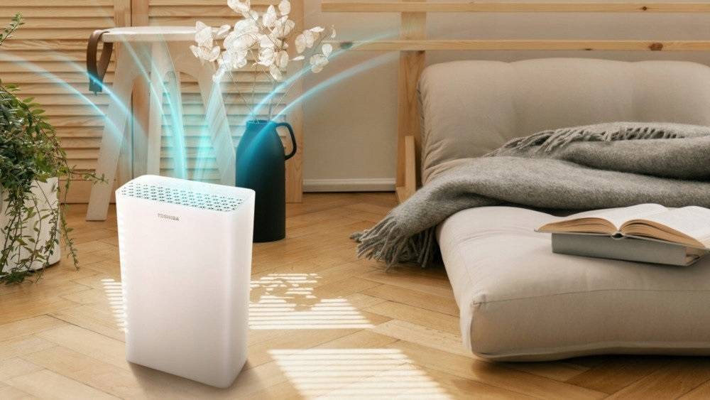 Увлажнитель воздуха для дома: критерии выбора, типы и дополнительные функции устройств