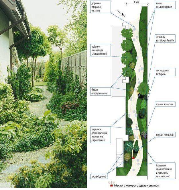 Ландшафтный дизайн дачного участка: 100 красивых идей
