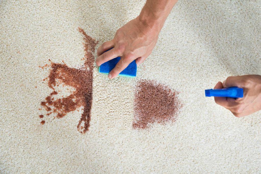 Как почистить ковры в домашних условиях
