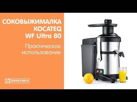 Покупаем шнековую соковыжималку для дома: 6 важных рекомендаций или выбираем качество!