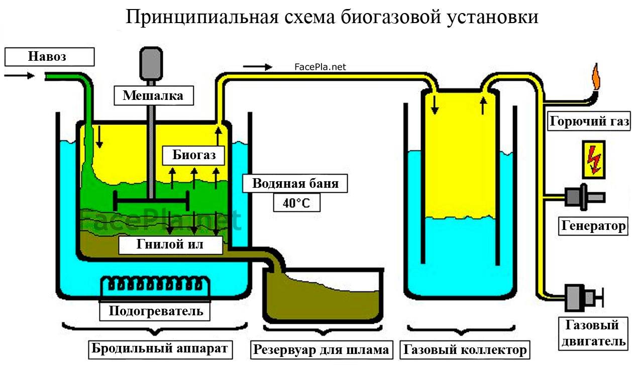 Биогаз из навоза - технология и принцип устройства установки, делаем своими руками