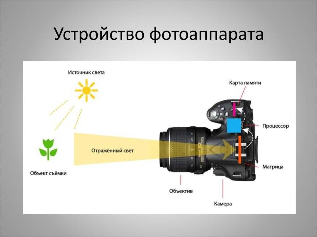 Схема устройства фотоаппарата